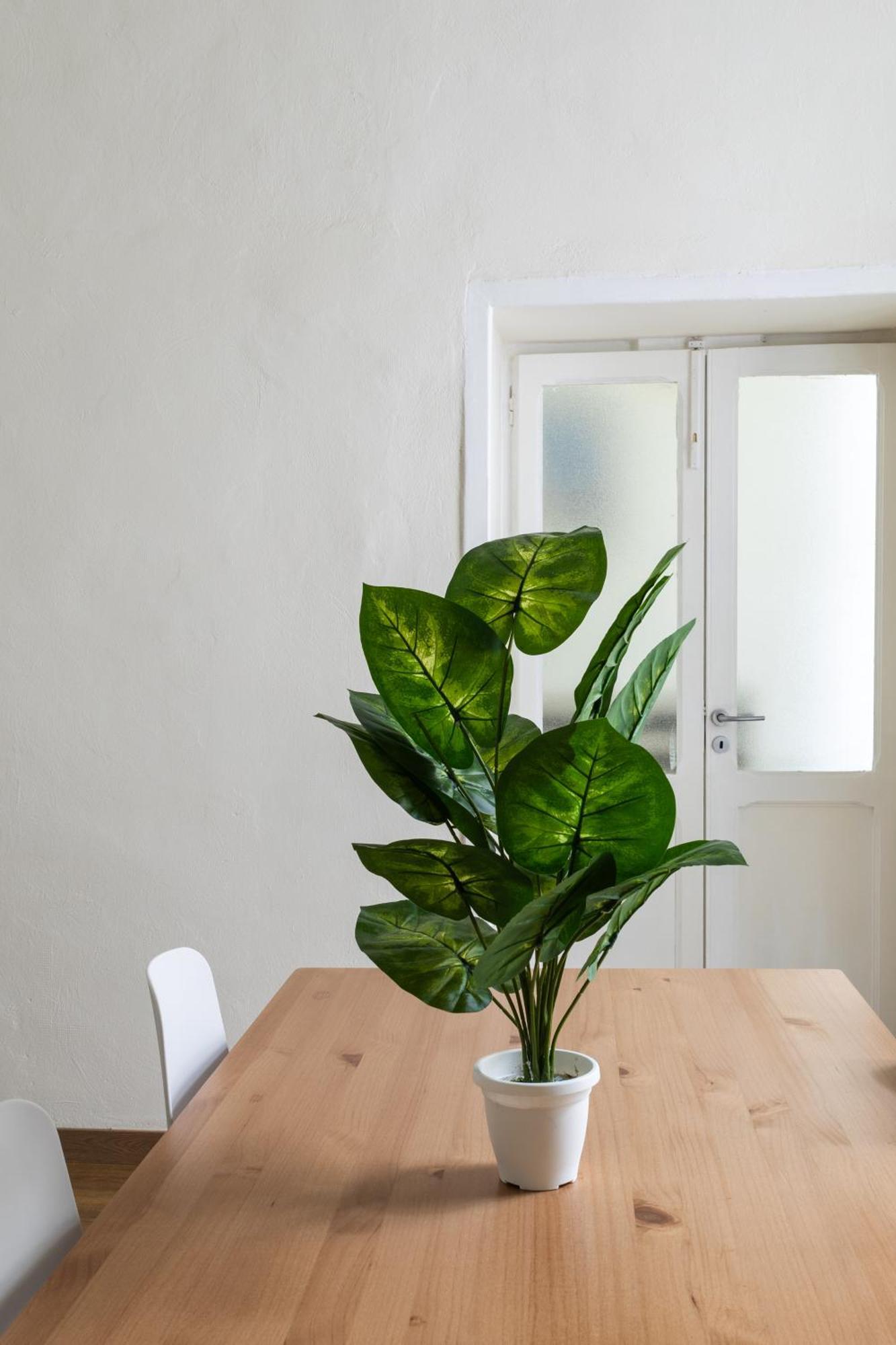 Cozy Historical Flat Napoli Apartment Bagian luar foto