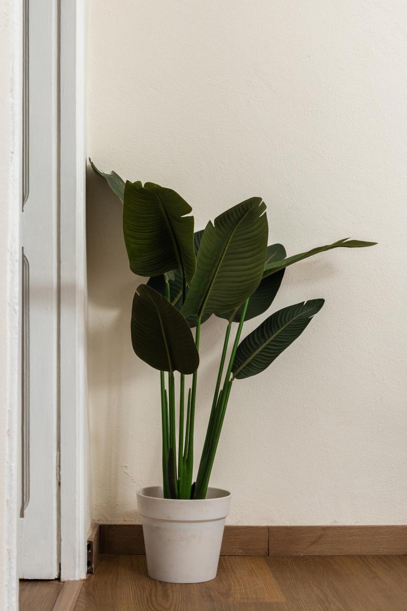 Cozy Historical Flat Napoli Apartment Bagian luar foto